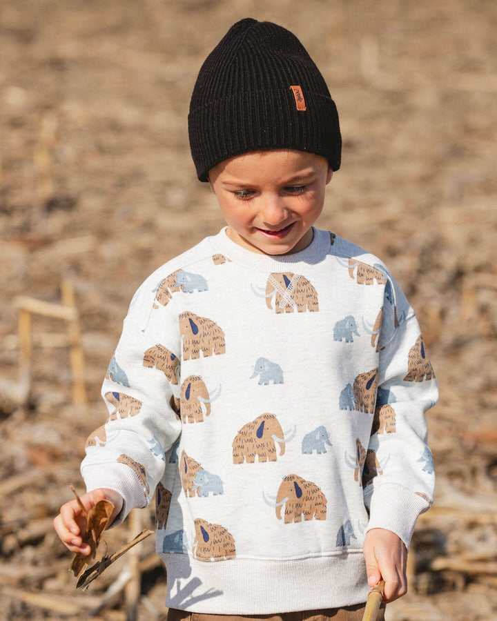 Long Sleeve Crew Neck Fleece Sweatshirt Beige Mammoth Print