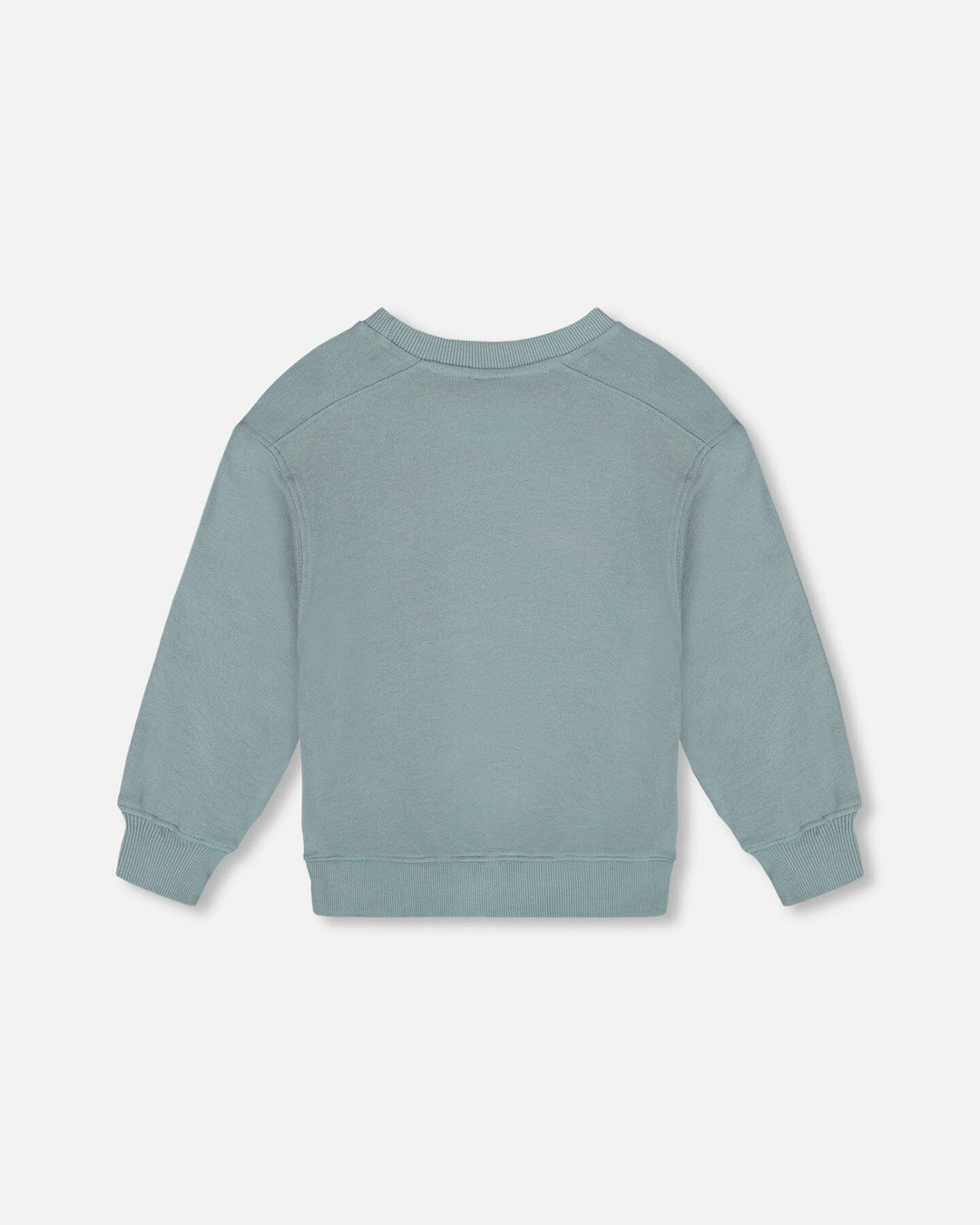 Animated Print French Terry Sweatshirt Sage Green