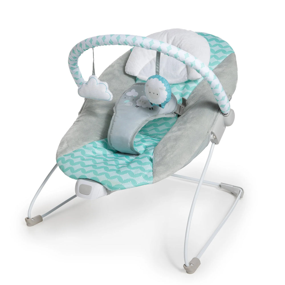 Ingenuity Ity Bouncity Bounce Vibrating Deluxe Bouncer - Goji - Tiniest Toes